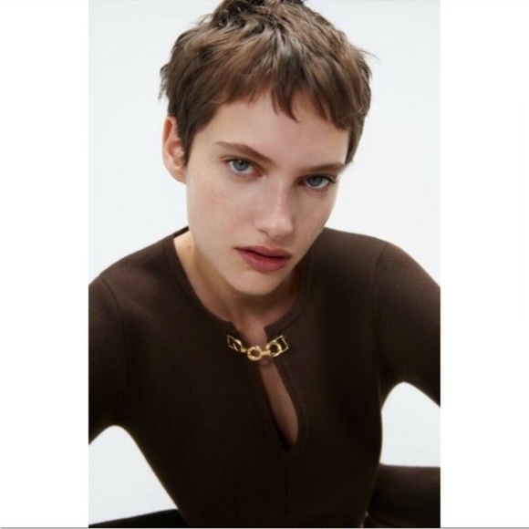 Zara Brown Gold Chain Cutout Long Sleeve Sweater Mini Dress NWT - Picture 1 of 7